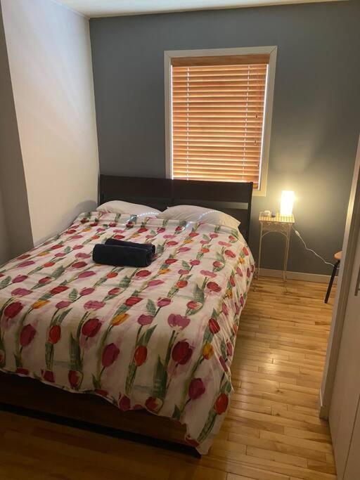 Chez Emma Hostel Gatineau Zewnętrze zdjęcie